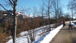 schöne Wanderwege
