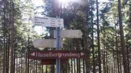 Welche Route wählen wir heute?